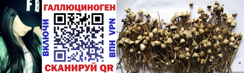 Галлюциногенные грибы ЛСД  цены   Ангарск 